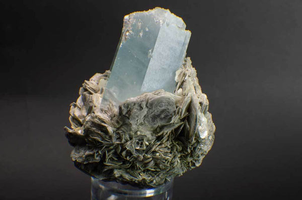 Aquamarine Crystal on Muscovite Mica Flower Matrix (Front View #3) for $795 at Mystical Earth Gallery