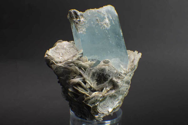 Aquamarine Crystal on Muscovite Mica Flower Matrix (Front View #2) for $795 at Mystical Earth Gallery