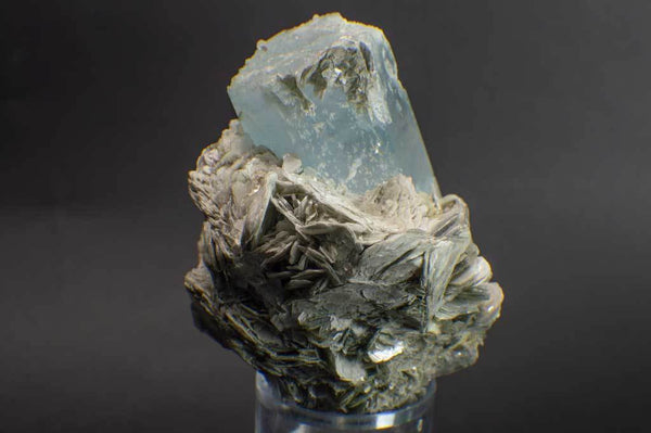Aquamarine Crystal on Muscovite Mica Flower Matrix (Side View #1) for $795 at Mystical Earth Gallery