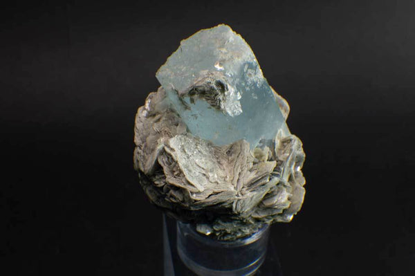 Aquamarine Crystal on Muscovite Mica Flower Matrix (Side View #2) for $795 at Mystical Earth Gallery