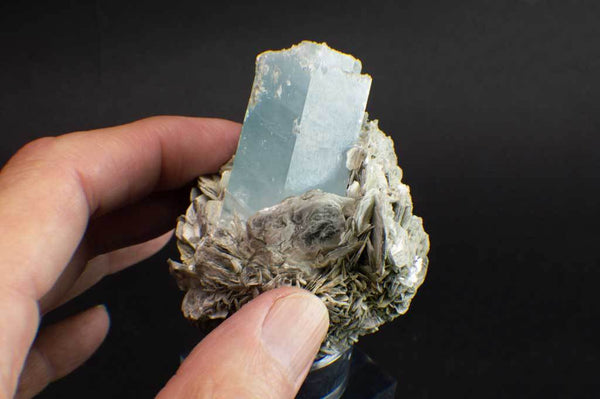 Aquamarine Crystal on Muscovite Mica Flower Matrix (Side Example) for $795 at Mystical Earth Gallery