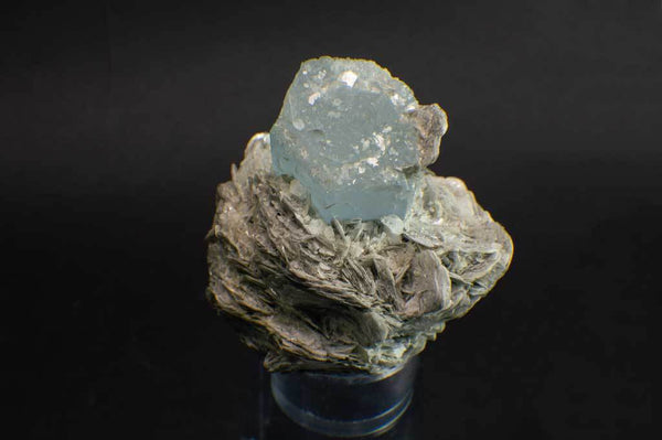 Aquamarine Crystal on Muscovite Mica Flower Matrix (Top View) for $795 at Mystical Earth Gallery