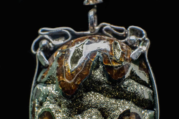 Alena Zena Pyritized Trilobite with Amethyst & Citrine Pendant for $211 at Mystical Earth Gallery (Close Up #2 View)