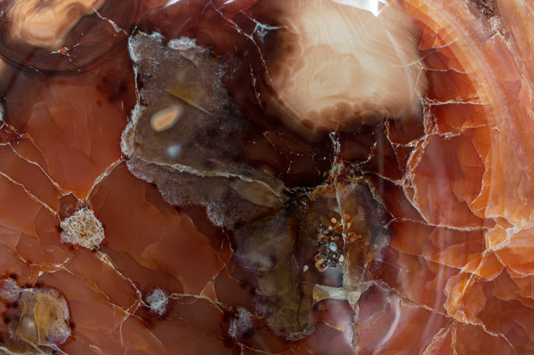 Close up of Orange Carnelian Polished Freeform, $254.95 @ Mystical Earth Gallery