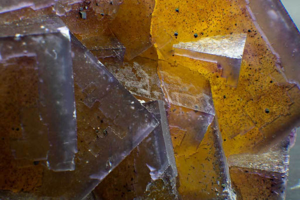 Golden Cubic Fluorite with Purple Edging for $2699 at Mystical Earth Gallery (Close Up View Cubic Edging)
