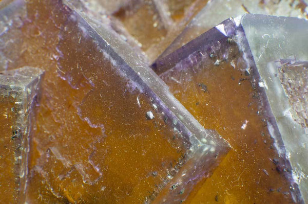 Golden Cubic Fluorite with Purple Edging for $2699 at Mystical Earth Gallery (Close Up View Cubic Edging #3)
