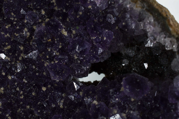 Amethyst Geode with beautiful dark color with sprinkles of Calcite, $99.95 at Mystical Earth Gallery 