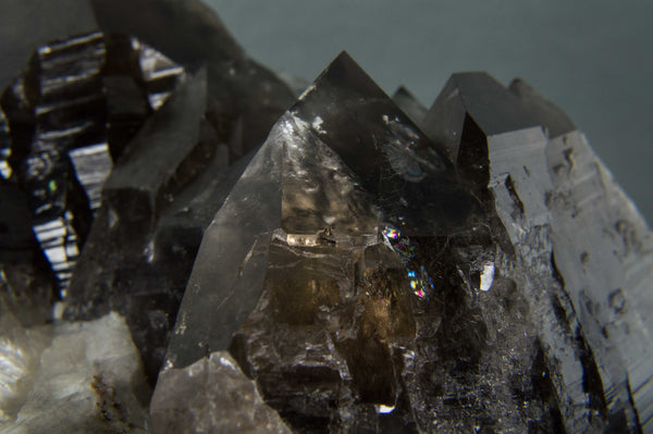 Elestial Smoky Quartz Cluster, $367.95 @ Mystical Earth Gallery