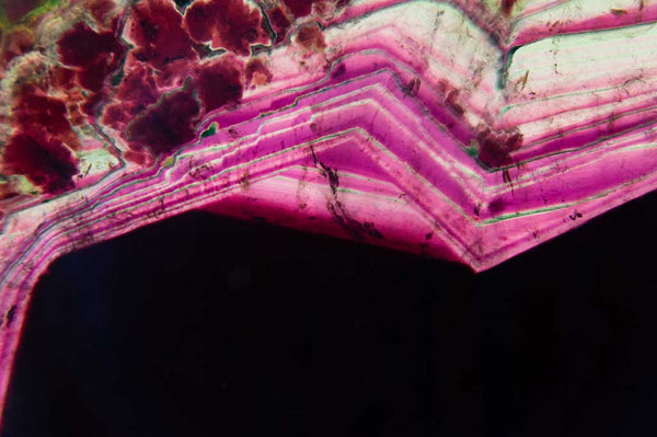 Liddicoatite Tourmaline with Red, Green & Pink Coloring for $799 at Mystical Earth Gallery (Close Up of Banding)