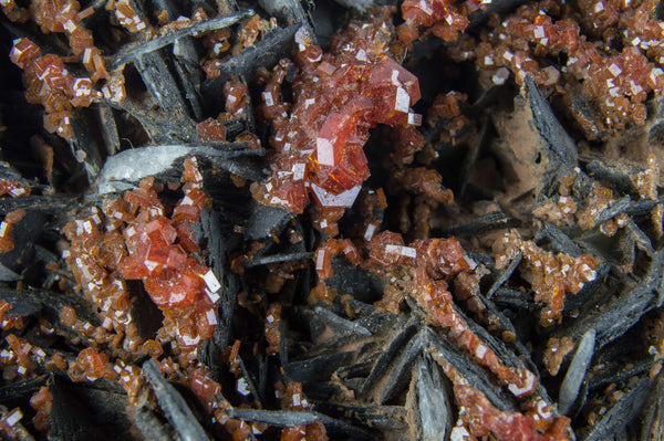 Vanadinite on Black Barite from Morocco; $189.95 @ Mystical Earth Gallery