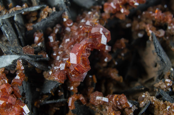 Vanadinite on Black Barite from Morocco; $189.95 @ Mystical Earth Gallery