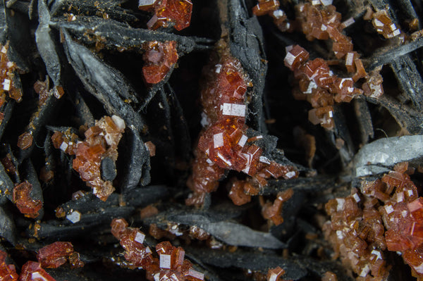 Vanadinite on Black Barite from Morocco; $189.95 @ Mystical Earth Gallery