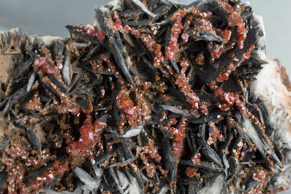 Vanadinite on Black Barite from Morocco; $189.95 @ Mystical Earth Gallery