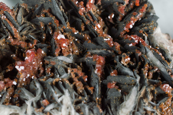 Vanadinite on Black Barite from Morocco; $189.95 @ Mystical Earth Gallery