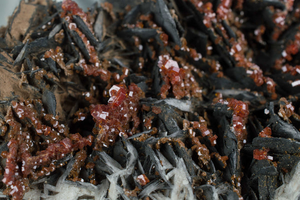 Vanadinite on Black Barite from Morocco; $189.95 @ Mystical Earth Gallery