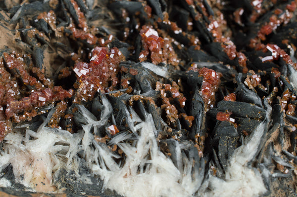 Vanadinite on Black Barite from Morocco; $189.95 @ Mystical Earth Gallery